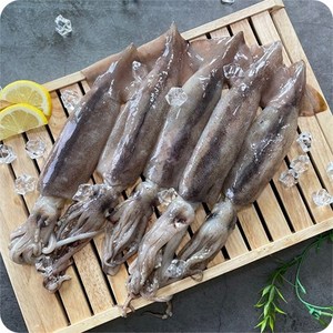 [지구식탁] 통오징어 산지직송 손질 통오징어, 1개, 4팩(8마리)