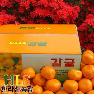 한라산농장 노지 감귤 15KG 중대과(L~2L) 홍보용 -불만족 시 무료반품-, 1개