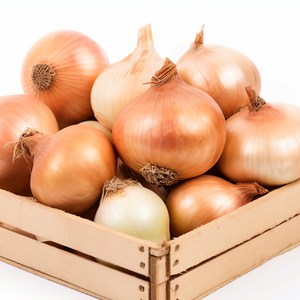 24년 국산 햇양파 단단하고 신선한 산지직송, 중, 1개, 3kg