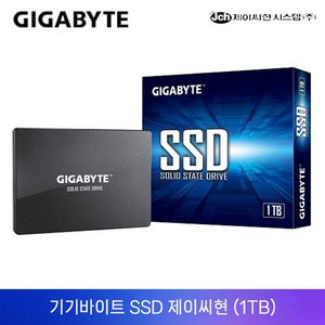 기가바이트 SSD 1TB 제이씨현, GIGABYTE SSD