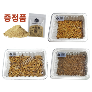 [특별행사] nb밀웜 살아있는 밀웜 - 일반밀웜 슈퍼밀웜 버팔로웜, 1.일반밀웜, 대(2.5cm 전후), 250+250마리, 1개