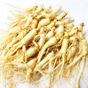 후금이네 가정용 햇 수삼 세척인삼, 700g (27-35뿌리), 1개