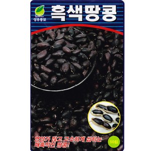 성우 흑땅콩씨앗 50립, 흑색땅콩, 1개