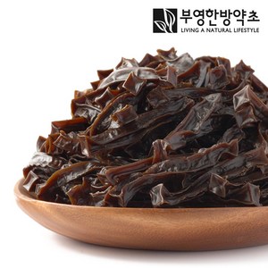 부영한방약초 건조 도토리묵 말랭이, 500g, 1개