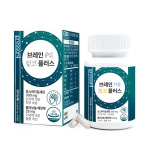 브레인 PS 징코 플러스 포스파티딜세린 60캡슐 뇌영양제 식약처인증 기억력 인지력, 1박스, 60정