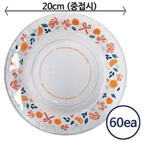 코스트코 삼풍 친환경 종이접시 20cm x 60매 + 더메이런손소독제, 1개