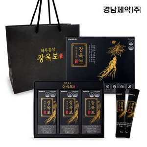경남제약 하루 홍삼 장옥보 30p + 쇼핑백, 300g, 1개