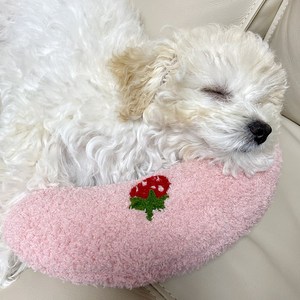 동구네 편안한 반려동물 반달쿠션 목베개, 분홍, 1개