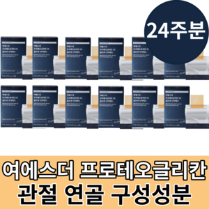 여에스더 프로테오글리칸 연어코 연골 관절 에스더포뮬러 프로테오글리칸 2X 울트라 다이렉트 연어코연골유래추출분말 2형콜라겐 홈쇼핑 동일제품 닥터에스더, 12박스, 0.032L