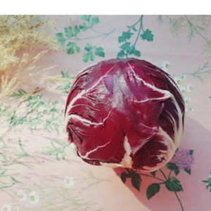 라디치오 (Radicchio), 1개