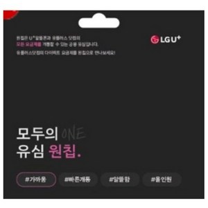 골든싸이]LGU+공용유심(원칩)1개, 1개