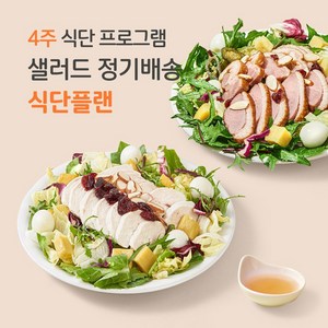 [포켓샐러드] 샐러드 4주 정기배송 주5일 프로그램 (짜여진식단+총20팩), 245g, 20팩