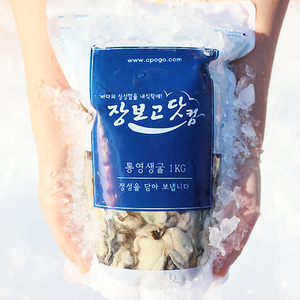 통영직송 최상급 생굴 싱싱 지퍼백 포장, 통영생굴 2kg, 1개