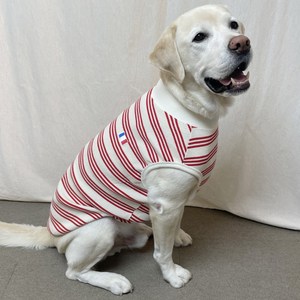 도기스타 소형견 중형견 대형견 민소매 명품 강아지 티셔츠, 레드, 1개