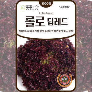 [주주씨앗] 딥레드 적롤로 상추씨앗 1000립 적상추 롤로로사 종자 씨 채소씨 상추씨 채소씨앗, 1개