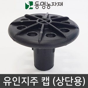 동명농자재 과수유인 가지유인 유인지주 유인지주캡 (상단용) (25/42/48mm겸용), 1개