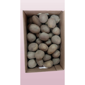 씨감자 종자 씨앗 모종 포슬포슬 텃밭 주말농장 강원도 맛있는 두백 씨감자 10kg 1개