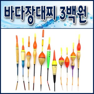 민장대 바다장대찌 민장대찌 1, 11