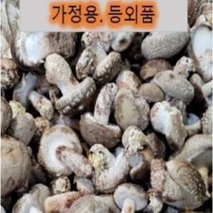 송화버섯 파지 등외품 1kg 파격행사 파지 아이스포장 가정용 부담없는 가격.캠핑 바베큐.젊은농부, 1개