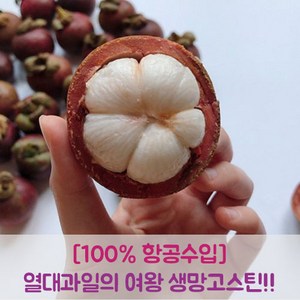 프루틴 생 망고스틴 태국 항공수입 로얄과, 1kg (로얄과 8~16과), 1개