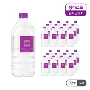 몽베스트 먹는샘물, 1L, 72개