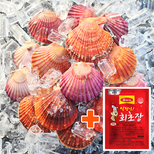 통영 장보고닷컴 세척 선별 깨끗한 제철 가리비 (초장 서비스), 가리비 2kg, 1개