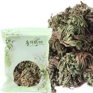 동의한재 국산 권백 바위손 부처손, 300g, 1개