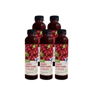 [본네] 핀란드 링곤베리 퓨레 주스, 5개입, 460ml