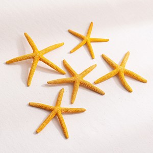 [데코봉봉] 옐로우 불가사리 5개 9cm 바다 오브제 여름소품