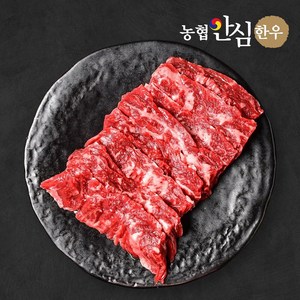 농협안심한우 1++ 한우 치마살 300g, 1개