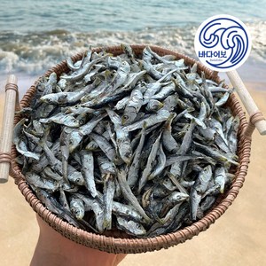 남해안 햇 건 솔치 청어(정어리) 멸치 상급 1kg 500g (볶음 조림 육수용), 1개