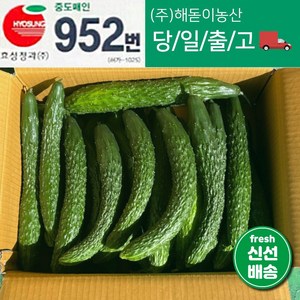 해돋이농산 국내산 오이 가시오이 청오이 못난이오이 3kg 5kg 10kg, 1개, 10kg내외