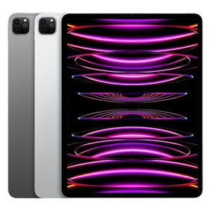 Apple 정품 2022 아이패드 프로 11 4세대 M2칩, 스페이스그레이, 128GB, Wi-Fi