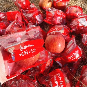 [달농]껍질째 바로먹는 세척사과 햇 부사 사과 당도선별 경북 꿀사과, 2kg 한입소과(13-15과), 1박스