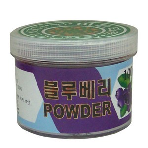 베이킹파티 블루베리파우더 분말 100g, 1개