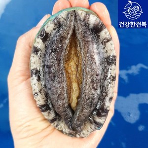 [24(금)3시주문 명절전배송]완도활전복 1kg [산소팩 무료배송], 1개, (E) 9-10미 1kg