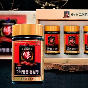 6년근 고려 명품홍삼정 240g x4병, 1박스, 4정