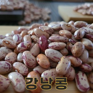 충북 충주 24년산 국산 강낭콩 500g 호랑이콩 양대 호랑이강낭콩, 1개