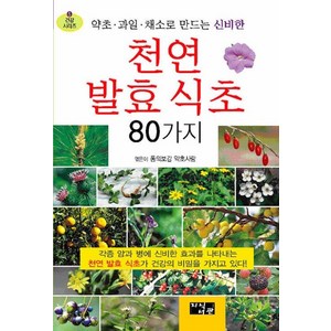 [지식서관]천연발효식초 80가지 : 약초 과일 채소로 만드는 신비한, 지식서관, 동의보감 약초사랑