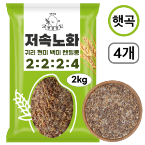 [쌀쌀쌀] 저속노화 렌틸콩 귀리 혼합 잡곡 밥 100% 햇곡, 4개, 2kg