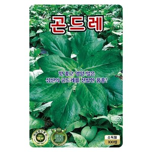 곤드레씨앗 100립 곤드레 씨앗 대장 KS종묘, 1개