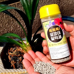 몰투데이 톡톡 알갱이 모든 식물 화분 화초 뿌리 알갱이 텃밭 영양제, 280g, 1개