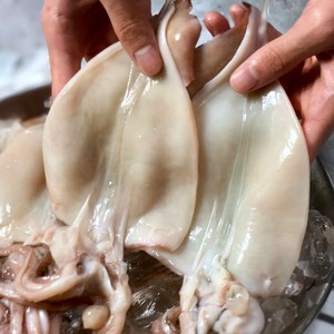 [산지직송] 자연산 손질 냉동 오징어, 1개, 1kg(5~10미내외)