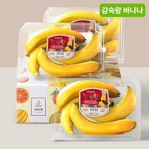 [프루미츠] 스미후루 감숙왕 바나나 750g 3팩, 3개