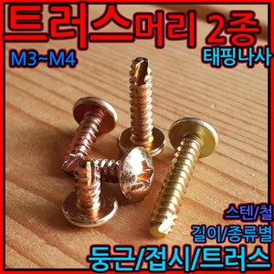 트러스 머리 태핑 나사 스텐 둥근 접시 우산 피스 볼트 2종 m3 m4 m5냄비 커팅, 6-1 트러스머리(M3), 3x10mm-60개(2종), 1개