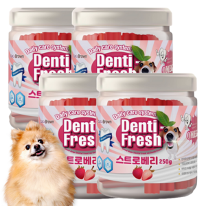 덴티프레쉬 애견 덴탈껌 250g, 스트로베리, 4개