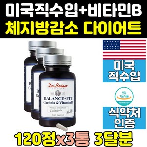 중년 종아리 내장 복부 뱃살 지방 분해 다이어트 3통 빼는법 커팅제 컷팅제 살빠지는 체지방 살빼기 보조제 가르시니아 감소 남성 여성 여자 남자 볼살 음식 단기 상체 직구 프리미엄, 3개, 120정