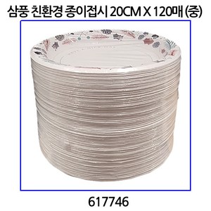 삼풍 종이접시 (친환경)20CM X 120매 (중), 60개입, 2개