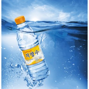 동해약천골지장수 생수, 20개, 500ml