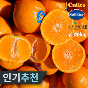 [재구매율97%] 15bix 당도선별 만다린 귤, 1개, 1kg 특상품